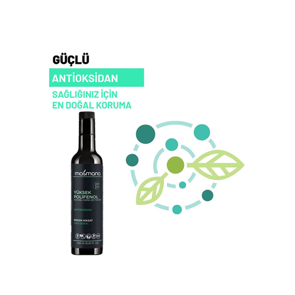  Erken Hasat Soğuk Sıkım Kilis Yağlık Natürel Sızma Zeytinyağı